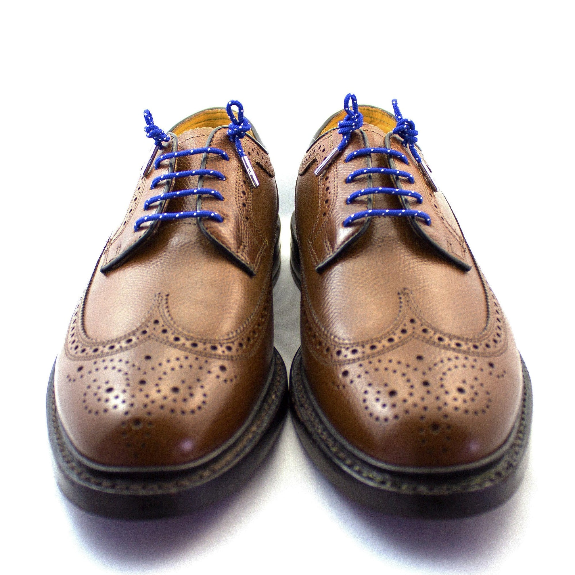 Royal blue and white dots laces for dress shoes, Length: 27"/69cm-Stolen Riches