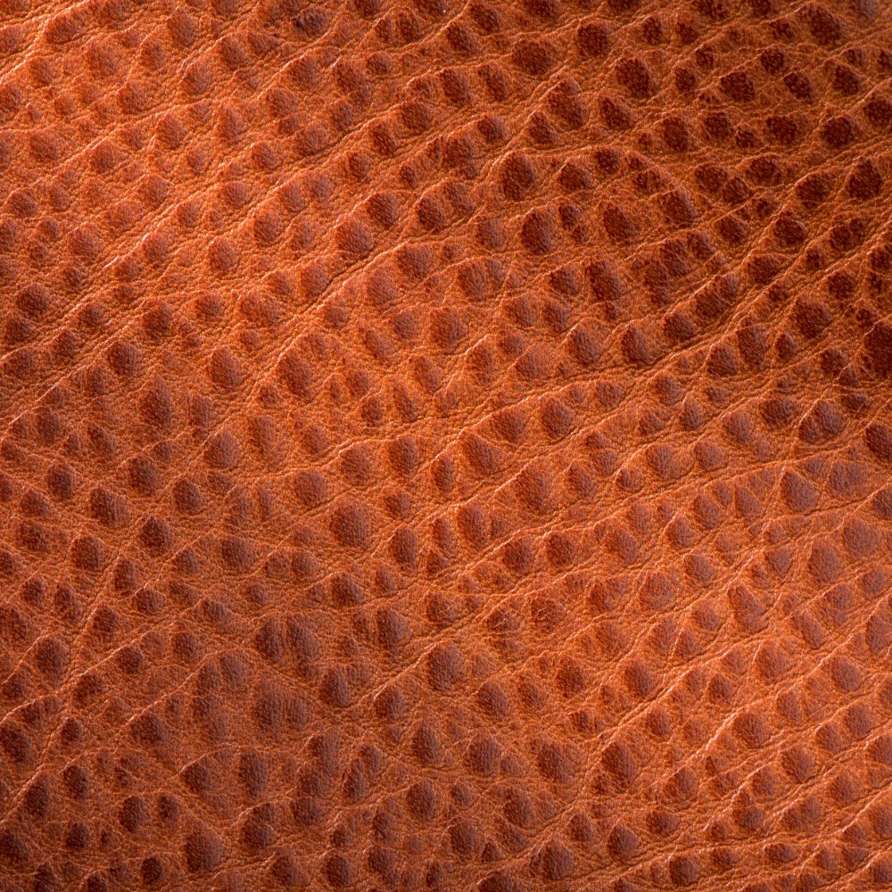 Brown Envelope